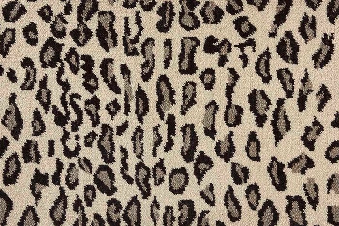 Wildlife Snow
