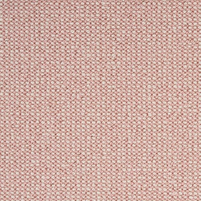 Biscayne Petal