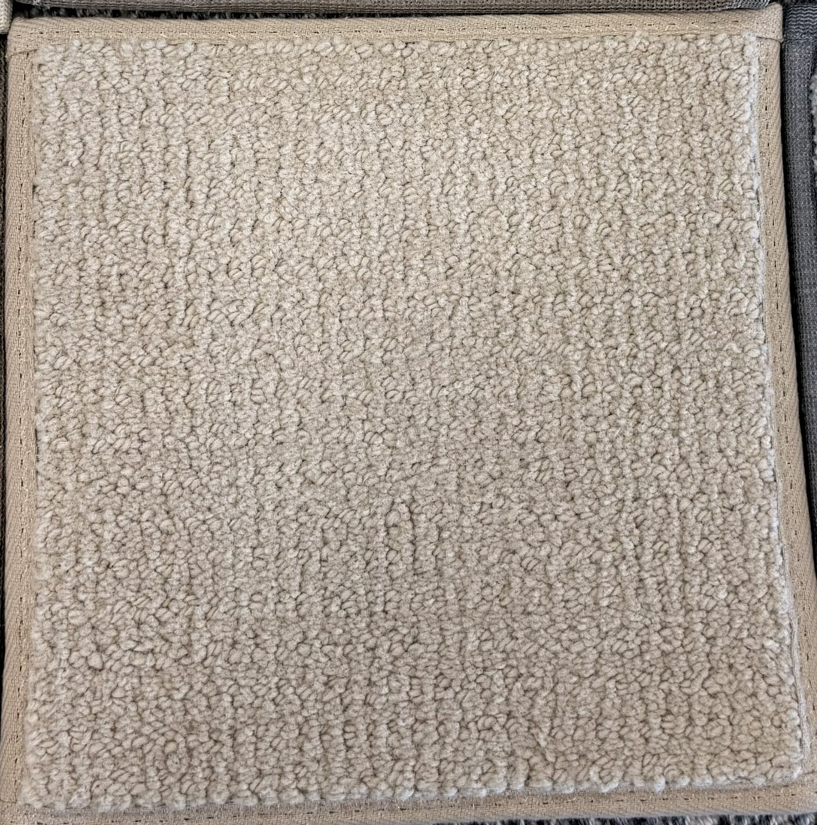 Loopy Light Taupe - 11.6 x 9.6