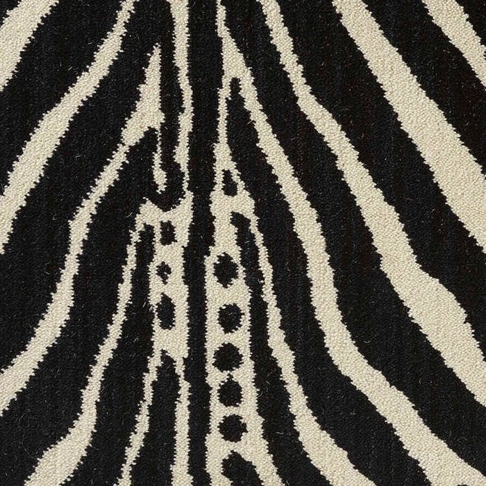 Wildlife Zebra Ivory