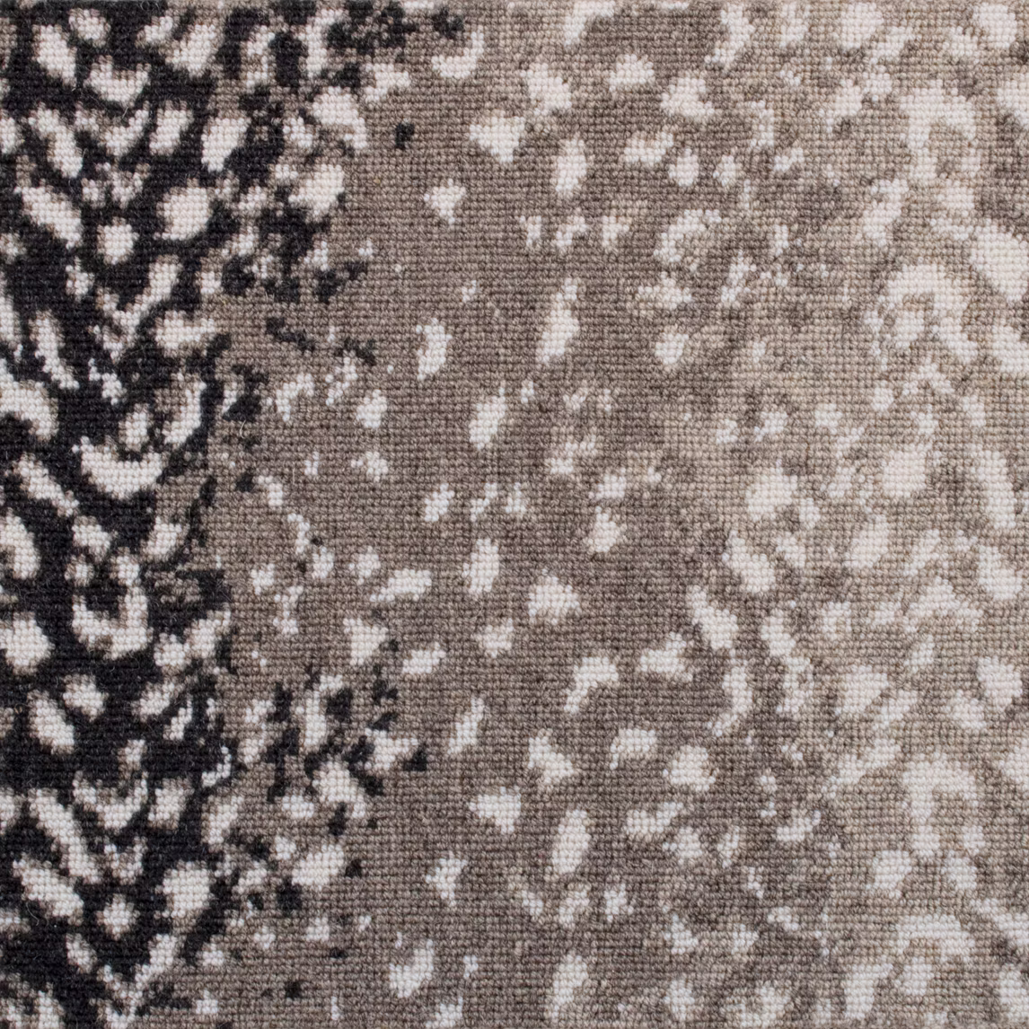 Leopard Charcoal