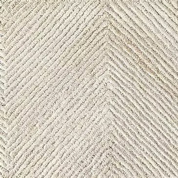 Kalahari Brittlebrush