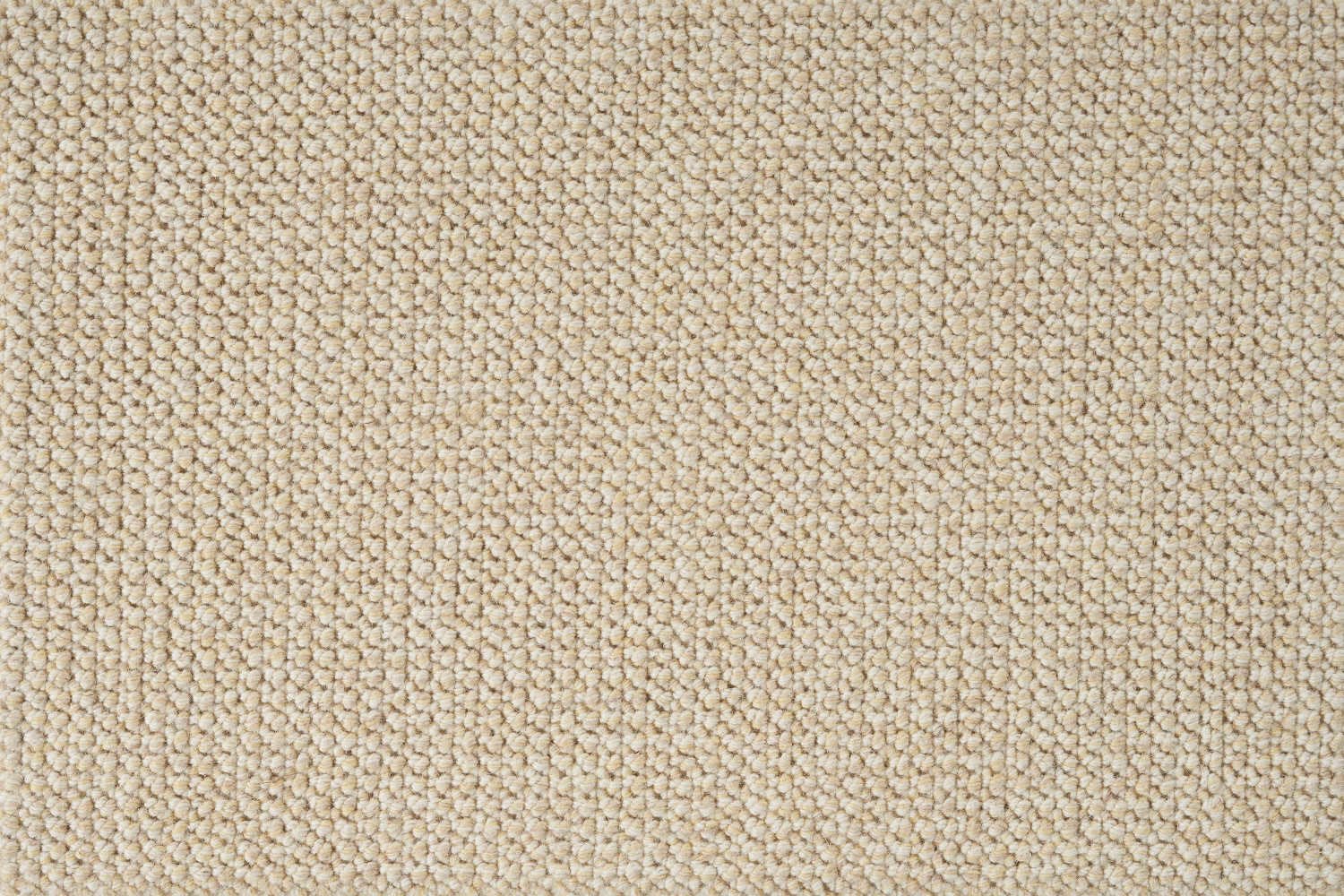 Aragon Maize