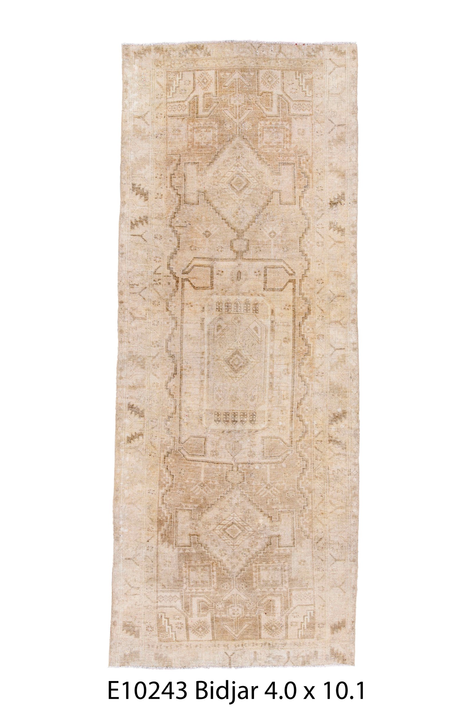 Bidjar 10' 1" X 4' 0" (Copy)