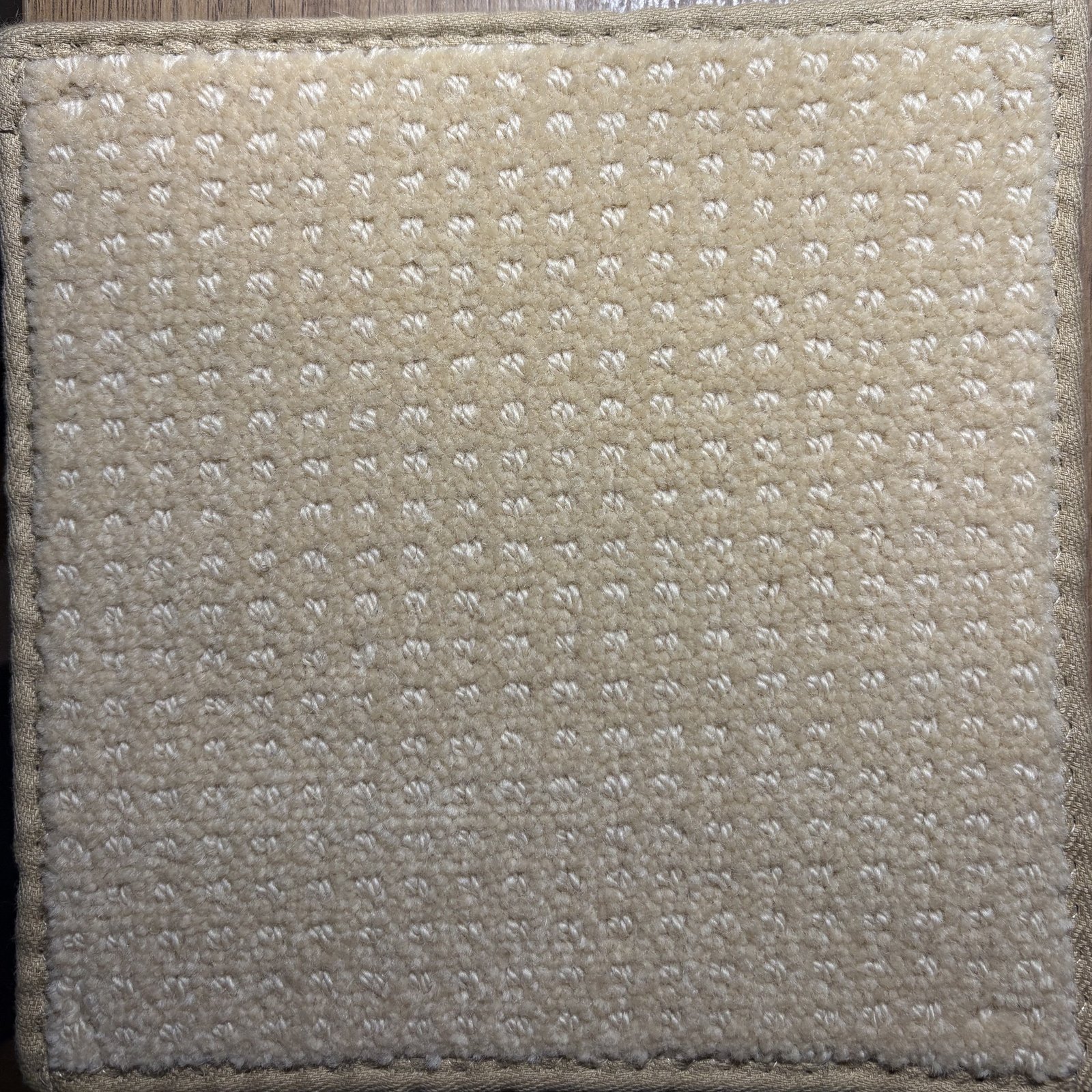Woven Golden - 12.0 x 20.0