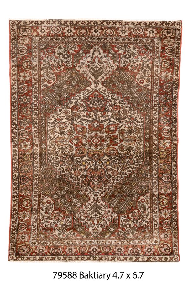 Baktiary 6' 7" X 4' 7"