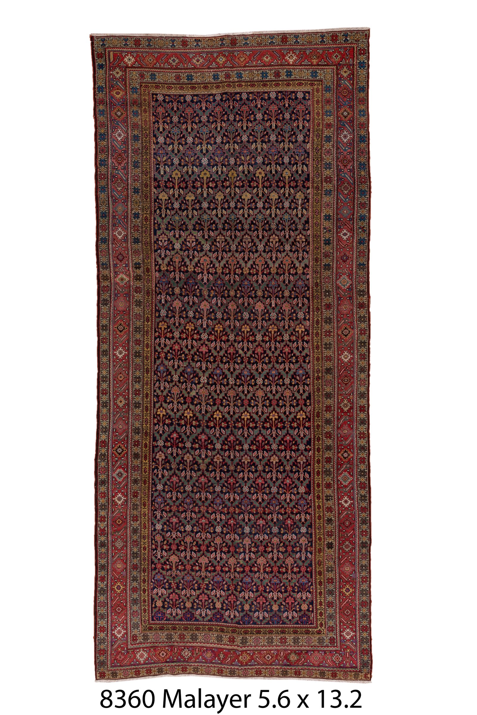 Malayer 13' 2" X 5' 6"